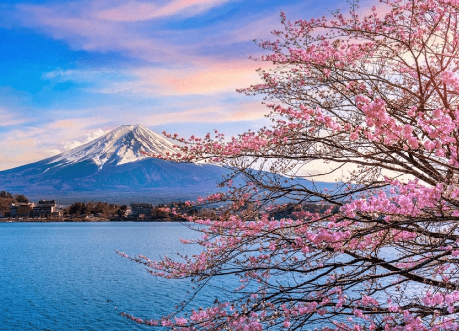 [Tour Nhật Bản CĐV tháng 3] Mùa hoa anh đào Osaka - Tokyo (30/03/2026)