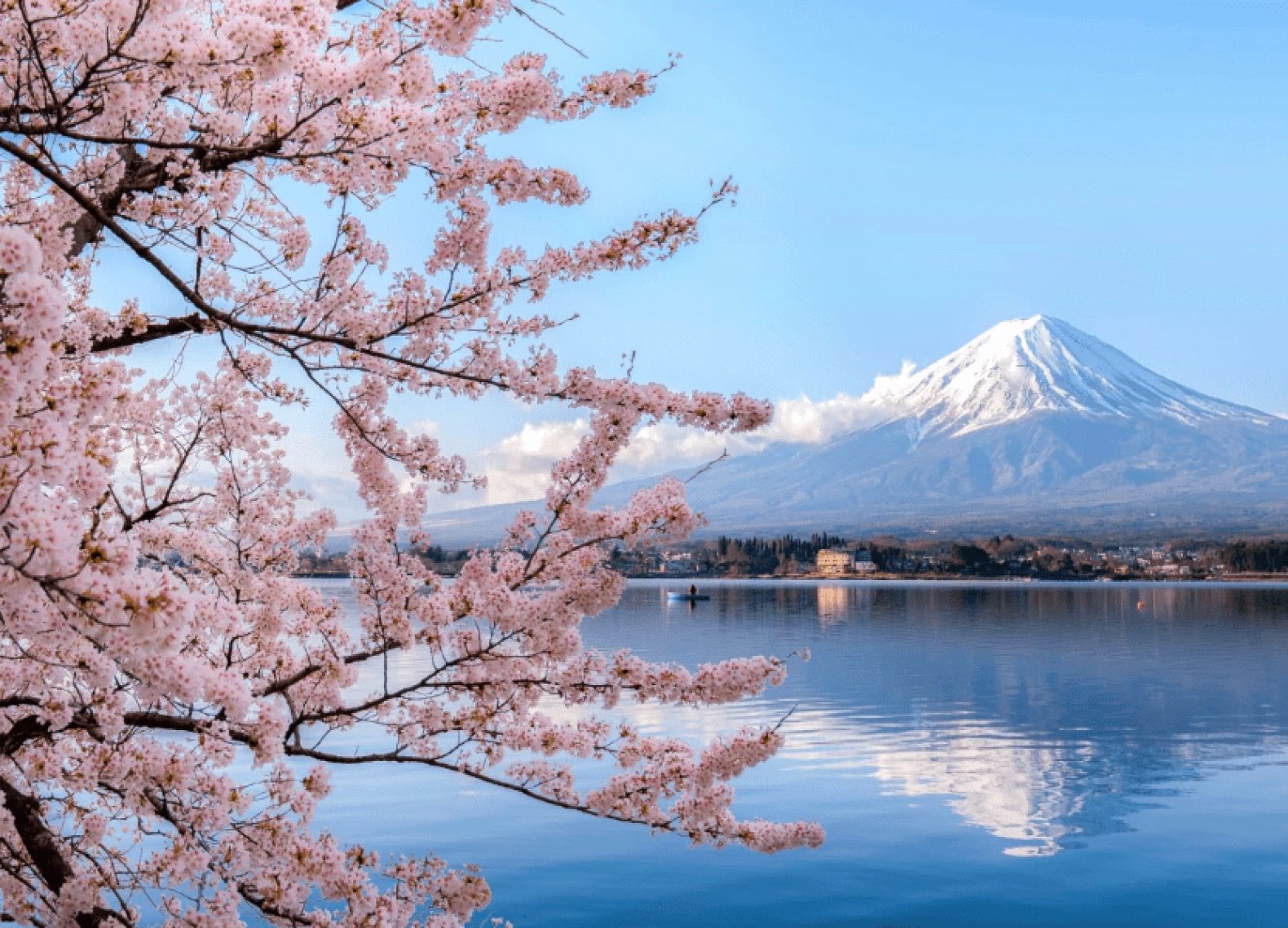 [Tour Nhật Bản CĐV tháng 4] Trải nghiệm mùa hoa anh đào Osaka - Tokyo (05/04/2026)