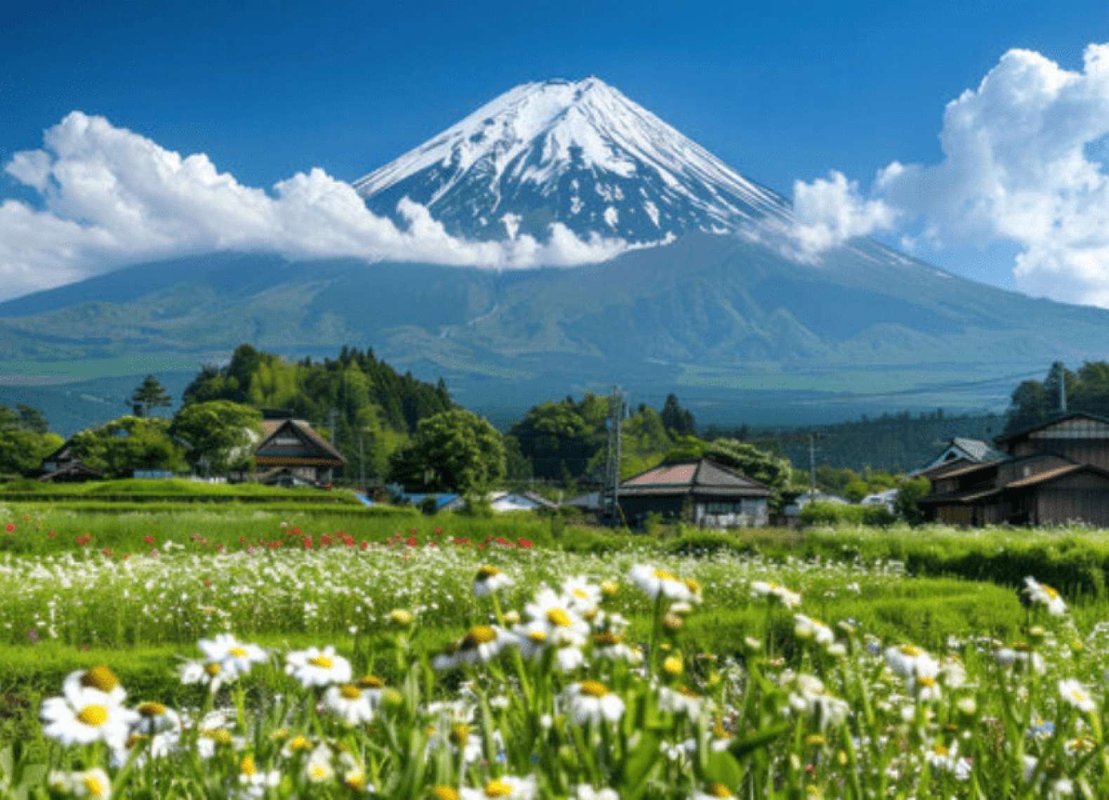 [Tour Nhật Bản CĐV tháng 7] Tokyo - Phú Sĩ - Kyoto - Osaka (22/07/2025)