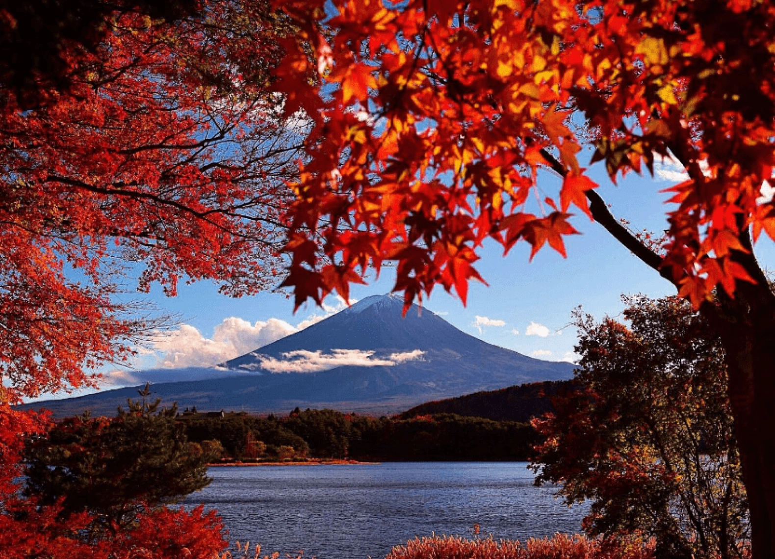 [Tour Nhật Bản CĐV tháng 12] Tokyo - Phú Sĩ - Nagoya - Kyoto - Osaka (03/12/2025)