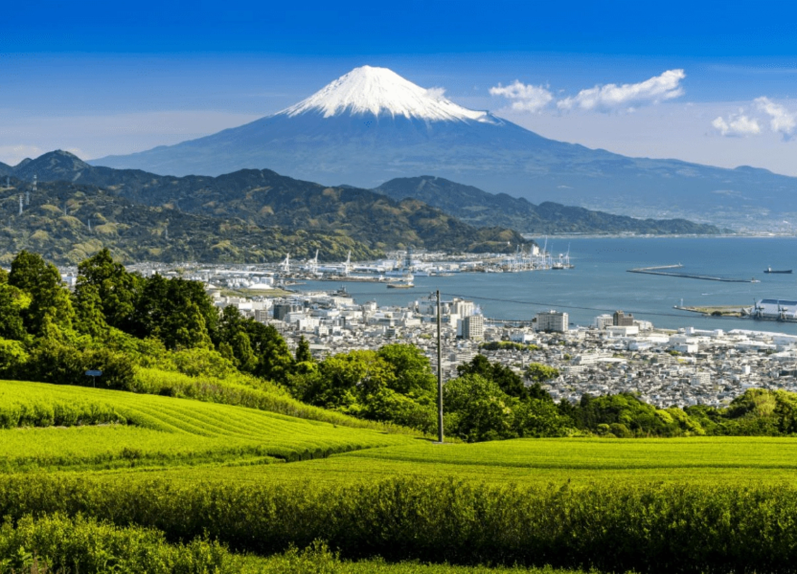[Tour Nhật Bản CĐV tháng 4] Tokyo - Phú Sĩ - Nagoya - Kyoto - Osaka (29/04/2026)