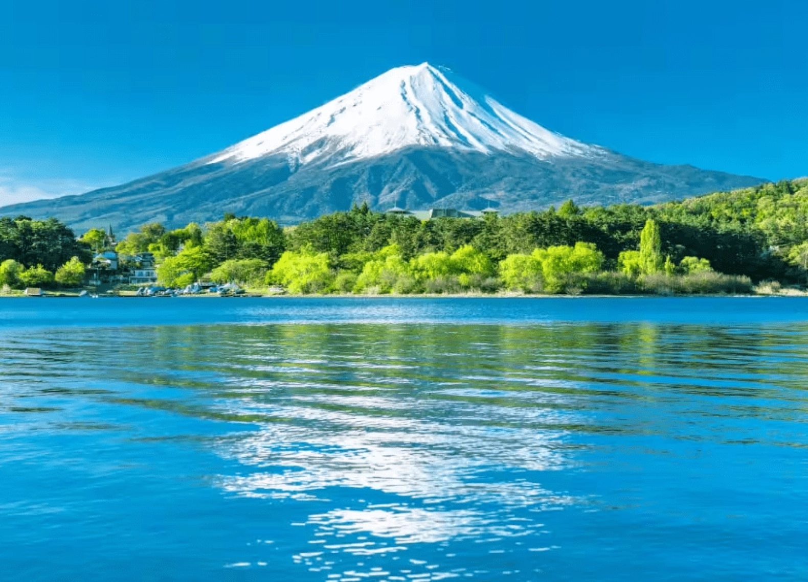 [Tour Nhật Bản CĐV tháng 5] Mùa hè Tokyo - Phú Sĩ - Osaka (22/05/2026)