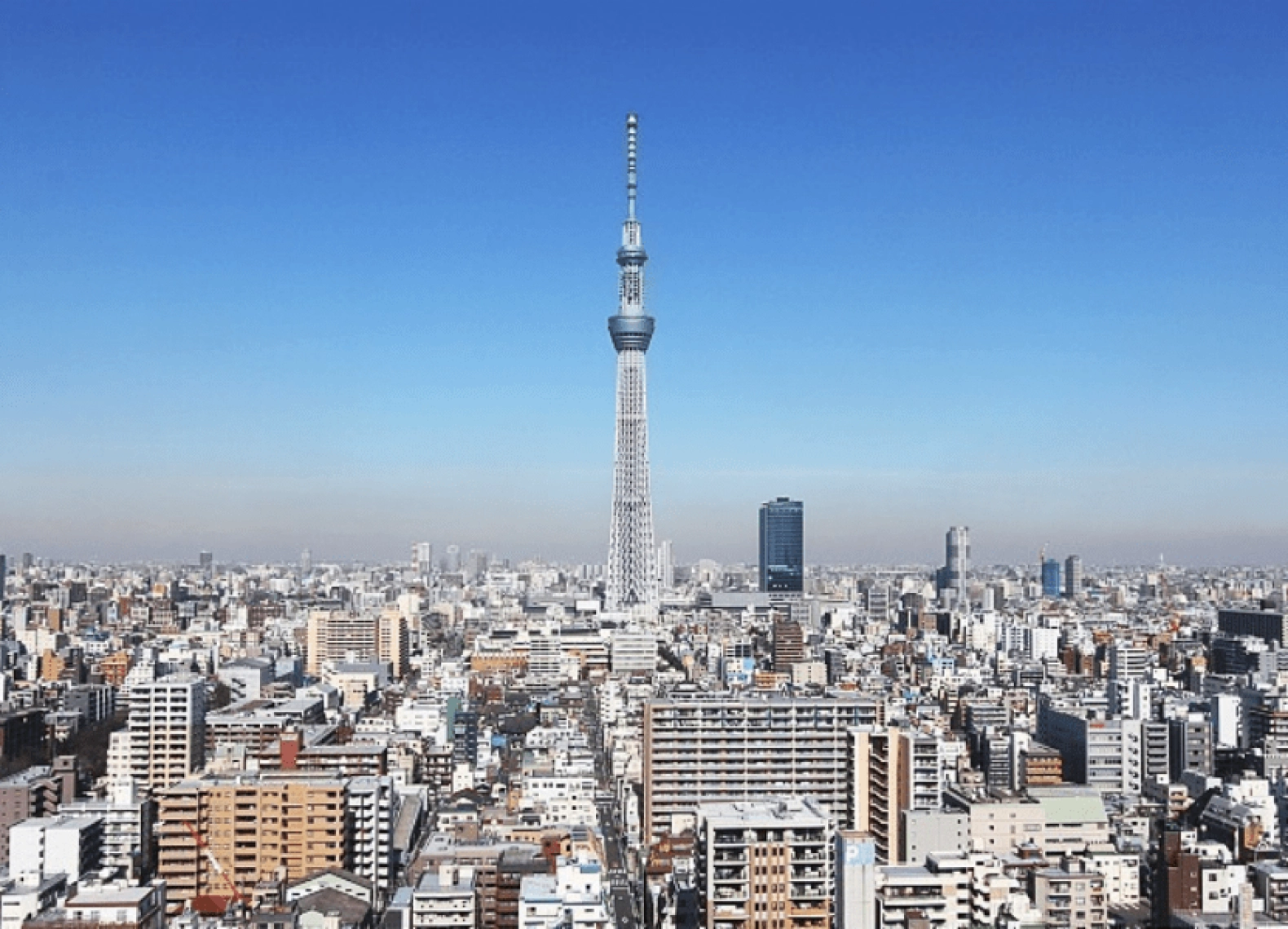 [Tour Nhật Bản CĐV tháng 5] Mùa hè Tokyo - Phú Sĩ - Osaka (26/05/2026)