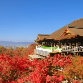 tour-nhat-ban-cdv-thang-11-02
