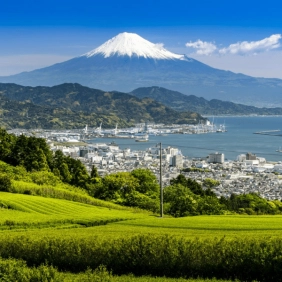 tour-nhat-ban-cdv-thang-4-10