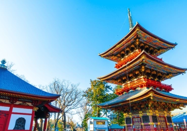 [Tour Nhật Bản 5N4Đ tháng 9] Du lịch Tokyo - Núi Phú Sĩ - Công viên Disneyland (16/09/2026)