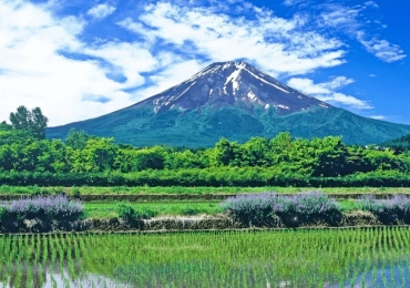 [Tour Nhật Bản CĐV tháng 9] Tham quan Tokyo - Phú Sĩ - Nagoya - Kyoto - Osaka (18/09/2026)