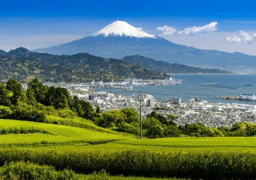 [Tour Nhật Bản CĐV tháng 4] Tokyo - Phú Sĩ - Nagoya - Kyoto - Osaka (24/04/2026) - Lễ Giỗ Tổ