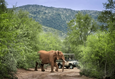 [Tour Nam Phi tháng 3] Hành trình khám phá lục địa đen (15/03/2025)