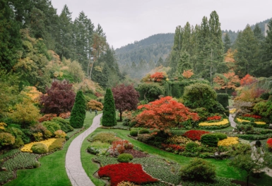 [Tour Canada bờ Tây tháng 10] Vancouver - Victoria - Cảng Inner (26/10/2025)