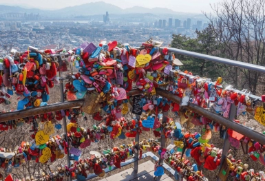 [Tour Hàn Quốc tháng 3] Ngắm hoa anh đào ở Yeouido (20/03/2026)