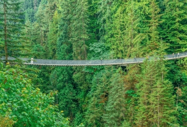 [Tour Canada bờ Tây tháng 8] Vancouver - Đảo Victoria (17/08/2026)