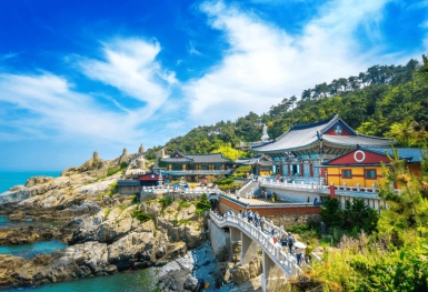 [Tour Hàn Quốc tháng 3] Du lịch khám phá Busan - Daegu - Seoul (11/03/2026)