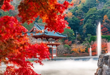 [Tour Nhật Bản CĐV tháng 12] Tokyo - Phú Sĩ - Nagoya - Kyoto - Osaka (16/12/2025)