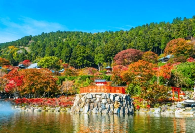 [Tour Nhật Bản CĐV tháng 10] Mùa lá đỏ Tokyo - Phú Sĩ - Nagoya - Kyoto - Osaka (22/10/2025)