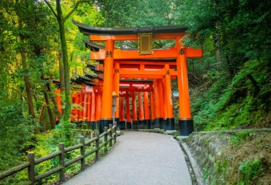 [Tour Nhật Bản CĐV tháng 7] Osaka - Kyoto Phú Sĩ - Tokyo (15/07/2025)