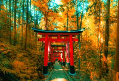 [Tour Nhật Bản CĐV tháng 11] Osaka - Kyoto - Nagoya - Phú Sĩ - Tokyo (18/11/2025)
