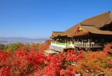[Tour Nhật Bản CĐV tháng 12] Tokyo - Phú Sĩ - Nagoya - Kyoto - Osaka (12/12/2025)