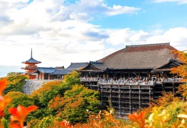 [Tour Nhật Bản CĐV tháng 12] Tokyo - Phú Sĩ - Nagoya - Kyoto - Osaka (16/12/2025)