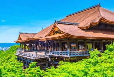 [Tour Nhật Bản CĐV tháng 8] Du lịch Tokyo - Phú Sĩ - Nagoya - Kyoto - Osaka (01/08/2025)
