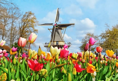 [Tour châu Âu 5 nước tháng 4] Pháp - Luxembourg - Bỉ - Hà Lan - Đức - Lễ hội hoa Tulip (13/04/2026)