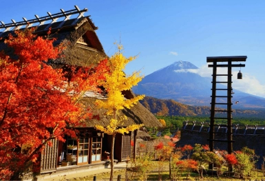 [Tour Nhật Bản CĐV tháng 11] Tham quan Osaka - Kyoto - Nagoya - Phú Sĩ - Tokyo mùa lá đỏ (18/11/2025)