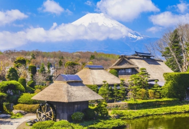 [Tour Nhật Bản 5N4Đ tháng 7] Vi vu Nhật Bản mùa hè Tokyo - Phú Sĩ - Kamogawa (17/07/2025)