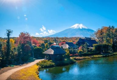 [Tour Nhật Bản 5N4Đ tháng 9] Tokyo - Phú Sĩ - Hakone (25/09/2025)