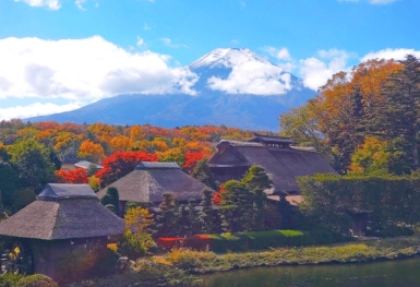 [Tour Nhật Bản CĐV tháng 12] Trải nghiệm Tokyo - Phú Sĩ - Nagoya - Kyoto - Osaka (03/12/2025)