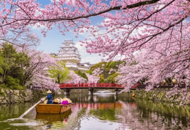 [Tour Nhật Bản CĐV tháng 3] Khám phá mùa hoa anh đào (22/03/2026)