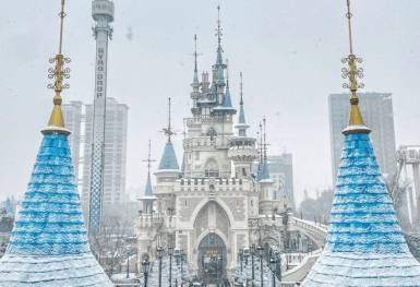 [Tour Hàn Quốc tháng 12] Khám phá mùa đông Seoul - Nami - Lotte World (05/12/2025)