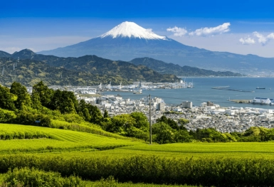 [Tour Nhật Bản 5N4Đ tháng 7] Tokyo - Phú Sĩ - Kamogawa (17/07/2025)