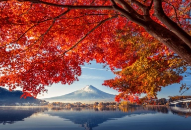[Tour Nhật Bản CĐV tháng 11] Osaka - Kyoto - Nagoya - Phú Sĩ - Tokyo (18/11/2025)