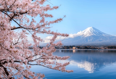 [Tour Nhật Bản CĐV tháng 3] Mùa hoa anh đào Osaka - Tokyo (28/03/2026)