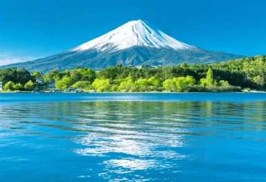 [Tour Nhật Bản CĐV tháng 5] Mùa hè Tokyo - Phú Sĩ - Osaka (26/05/2026)