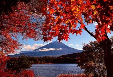 [Tour Nhật Bản CĐV tháng 12] Du lịch Tokyo - Phú Sĩ - Nagoya - Kyoto - Osaka (05/12/2025)
