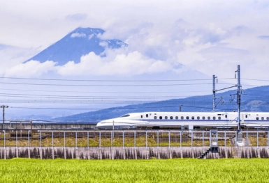 [Tour Nhật Bản CĐV tháng 7] Tokyo - Phú Sĩ - Kyoto - Osaka (18/07/2025)